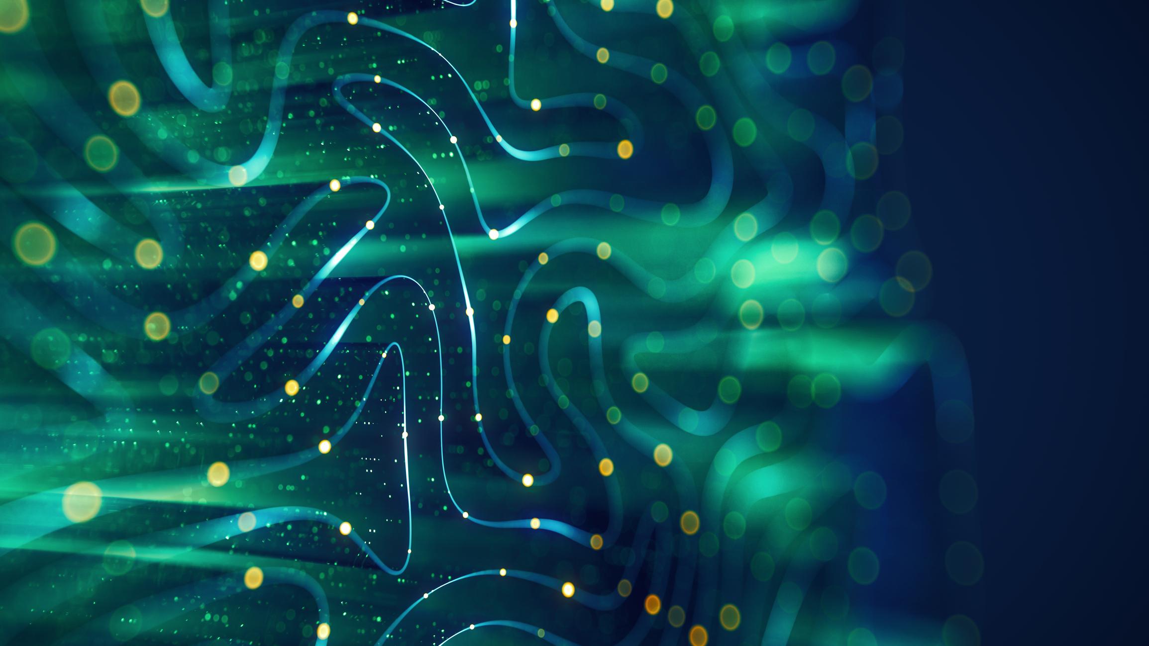 Digital & AI
