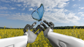 Silver robot arms in a yellow field holding a blue butterfly against a blue cloud filled sky