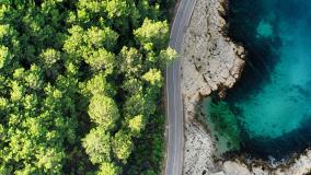 Aerial view of a road cutting in between green trees and bright aqua body of water