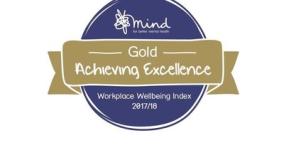 Mind Gold Achieving Excellence Workplace Wellbeing Index 2017-18