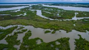 Louisiana bayou