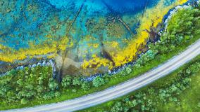 arial view of a road through trees beside tropical water