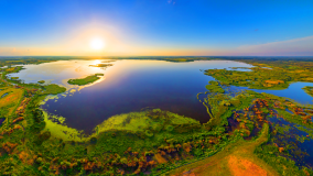 Climate Action Plan