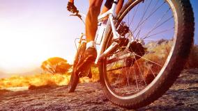 Man on a trail biking with the sun beaming down