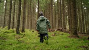 Boy in green jacket and hat walking through a green wood