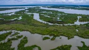 Louisiana bayou