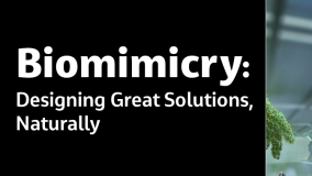 Biomimicry: Designing Great Solutions, Naturally