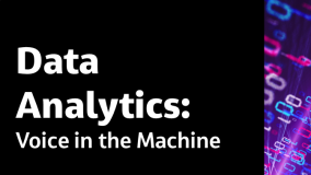 Data Analytics: Voice in the Machine