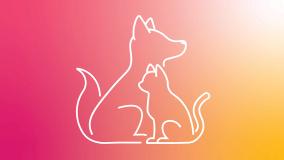 Pets as Co-workers