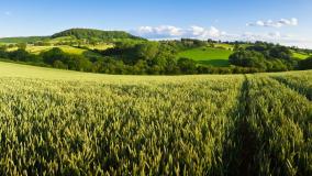 UK Water Net Zero