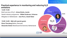 Embracing the Challenges of N2O