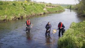 Three people wading in a river conducting ecology surveys