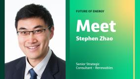 Future of Energy Meet Stephen Zhao Senior Strategic Consultant - Renewables