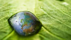 waterdrop on leaf