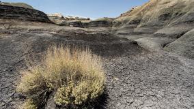 dry, arid land in New Mexico