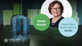 Susan Moisio headshot with Global Water Summit banner