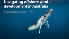 Humpback whale under water background for banner: Navigating offshore wind development in Australia