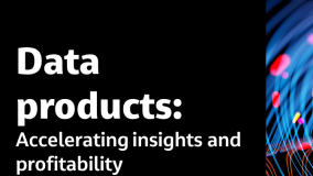 Data Products: Accelerating Insights and Profitability