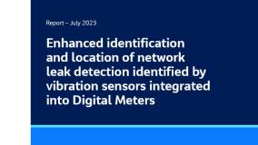 Enhanced identification and location of network leak detection identified by vibration sensors integrated into Digital Meters
