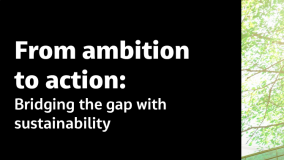 From ambition to action: Bridging the gap with sustainability Hollie Janson Schmidt