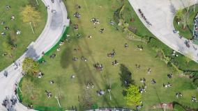 Aerial view of people in a green space with paved pathways