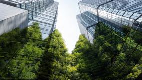 Looking up at a building with trees in the background