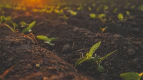 PFAS in Biosolids