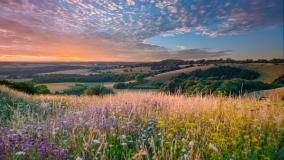 English countryside landscape