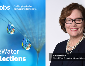 OneWater Reflections - Susan Moisio Global Vice President and Global Water Director