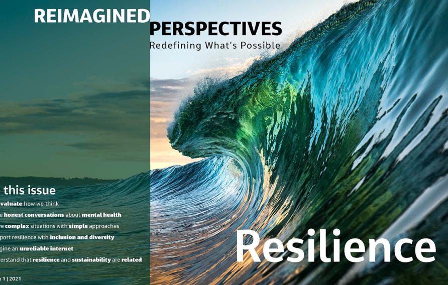 Reimagined Perspectives: Resilience