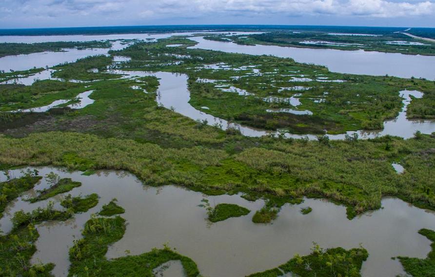 Louisiana bayou