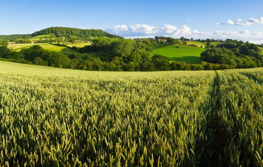 UK Water Net Zero