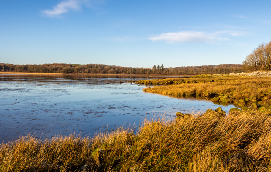 Saltmarsh Carbon Code