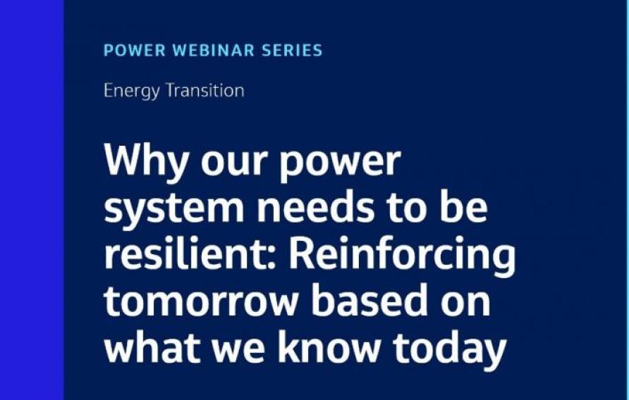 Resilient Power System