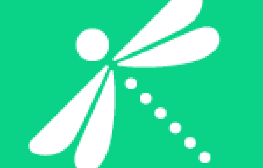 Dragonfly symbol
