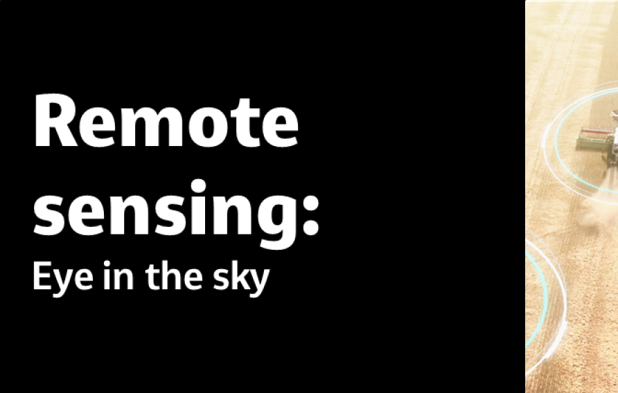 Remote sensing: Eye in the sky