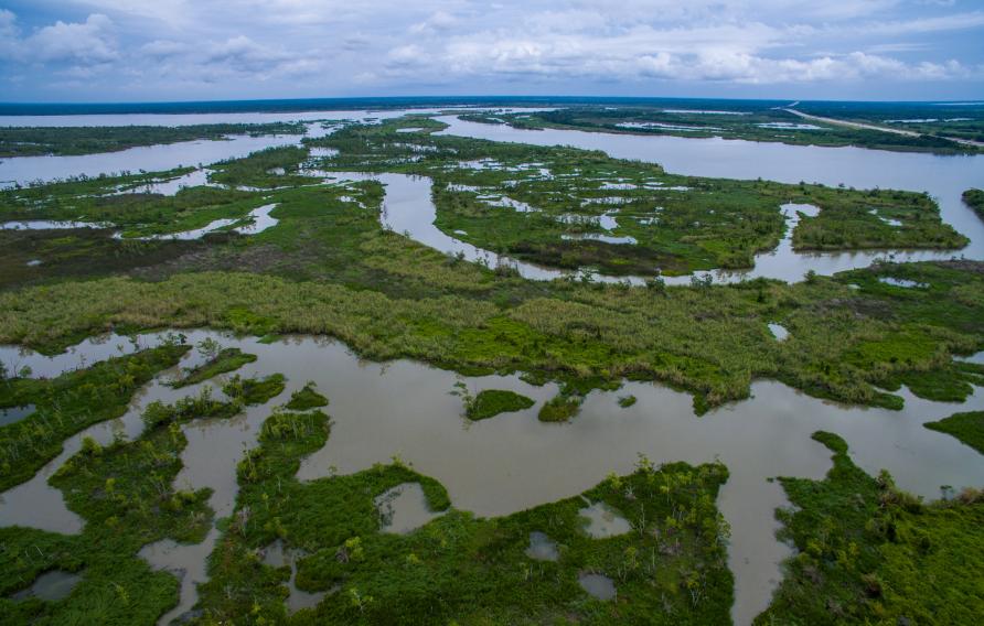 Louisiana wetlands