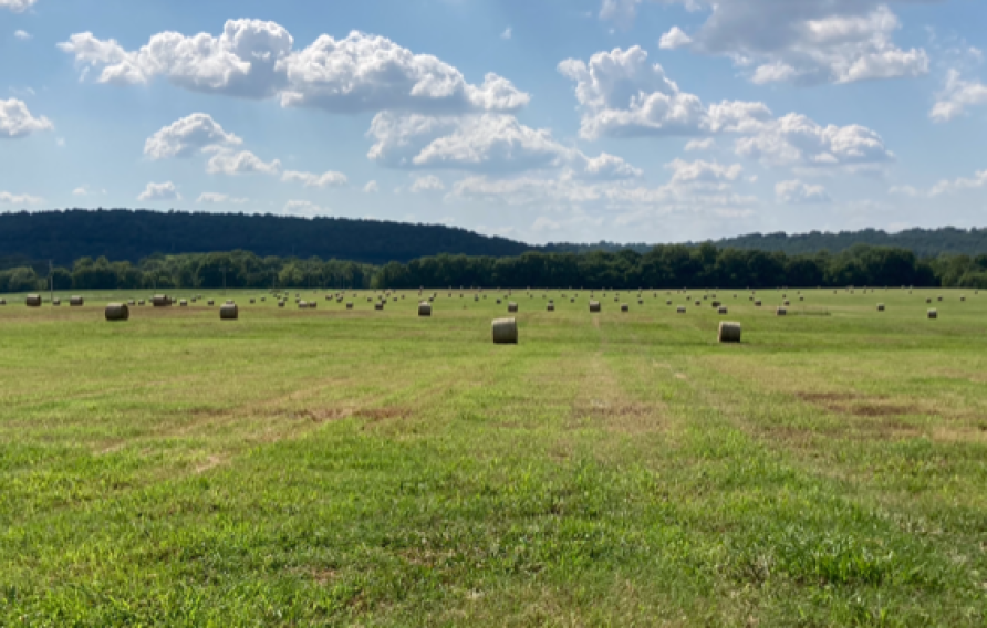 Green field with hay bales and blue cloudy skies