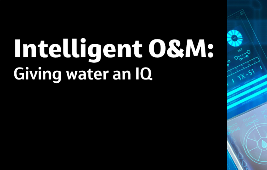 Intelligent O&amp;M: Giving water an IQ Dr. Jennifer Baldwin Joshua Registe
