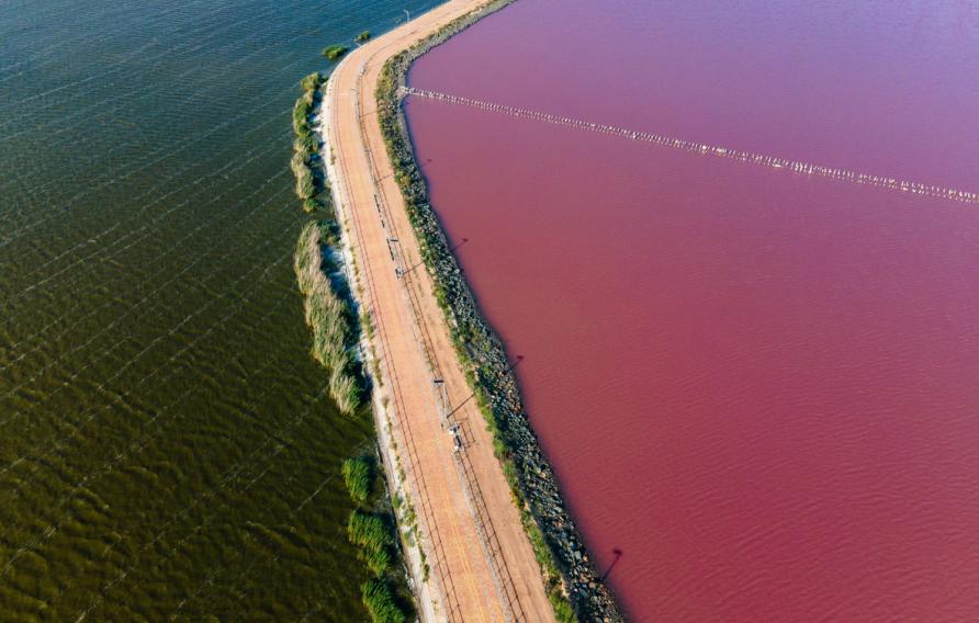 pink lake sasik sivash divided by a road in summer