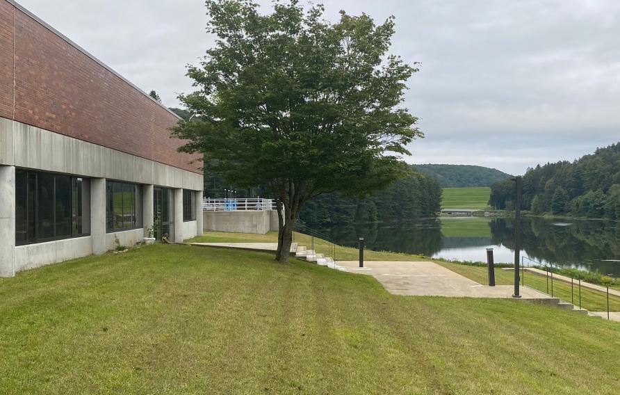 Municipal building front lawn with tree