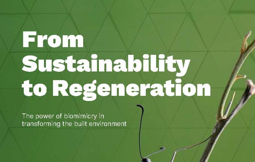 Biomimicry paper_front cover
