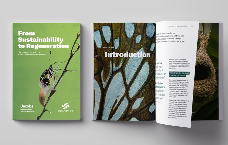 biomimicry paper document mockup