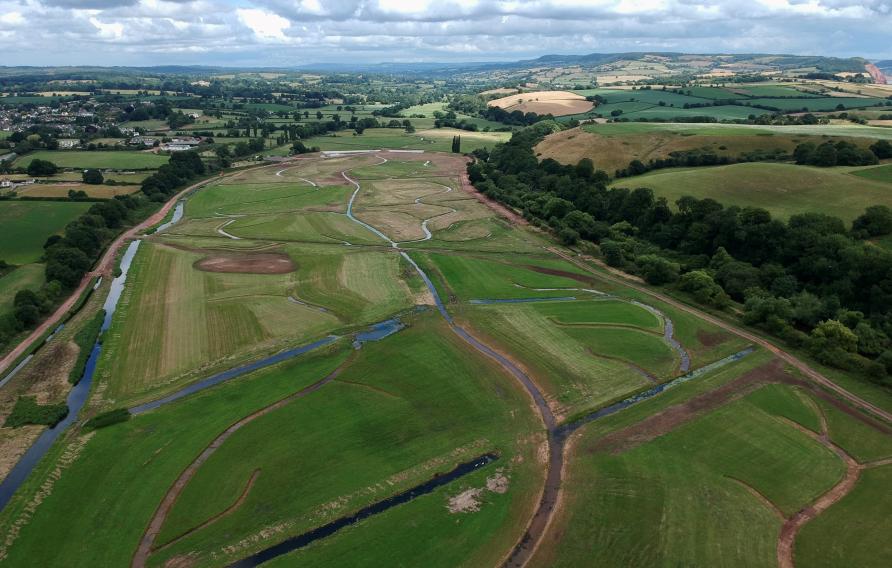 New creek network constructed in the upper parts of the site. 