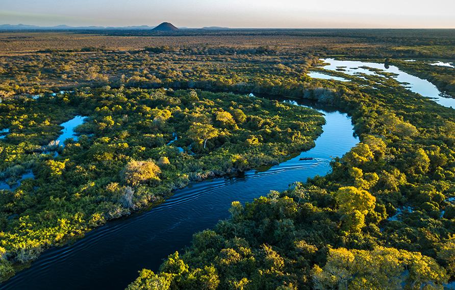 Aerial view of lush river