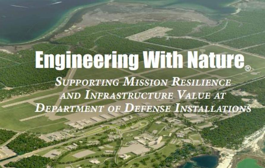 Engineering with Nature cover