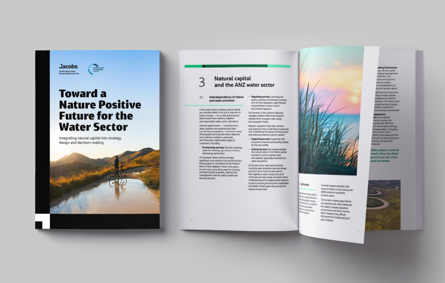 Natural capital