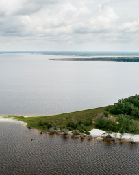 Oyster Restoration Site