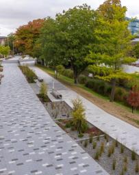 Avon River Precinct