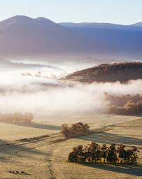 Yarra Valley Water Engineering Services Partnership